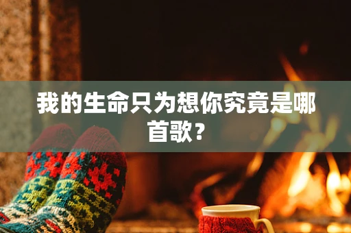 我的生命只为想你究竟是哪首歌？