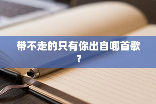 带不走的只有你出自哪首歌？