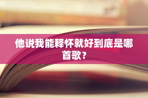 他说我能释怀就好到底是哪首歌？