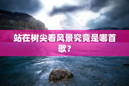 站在树尖看风景究竟是哪首歌？