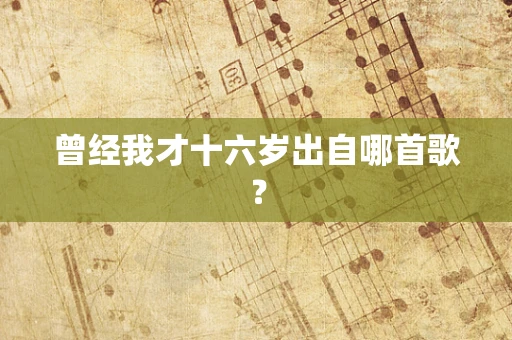 曾经我才十六岁出自哪首歌？