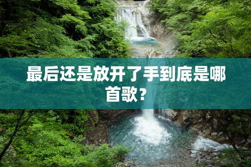最后还是放开了手到底是哪首歌？