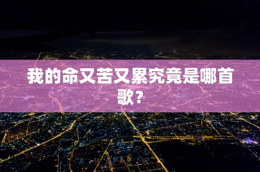 我的命又苦又累究竟是哪首歌？