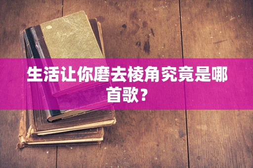生活让你磨去棱角究竟是哪首歌？