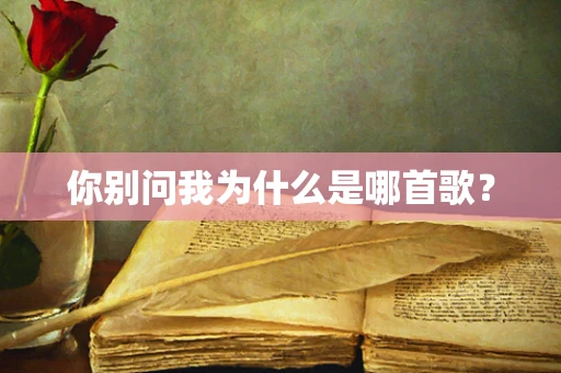 你别问我为什么是哪首歌？