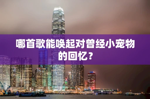 哪首歌能唤起对曾经小宠物的回忆？