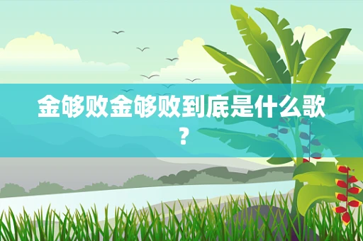 金够败金够败到底是什么歌？
