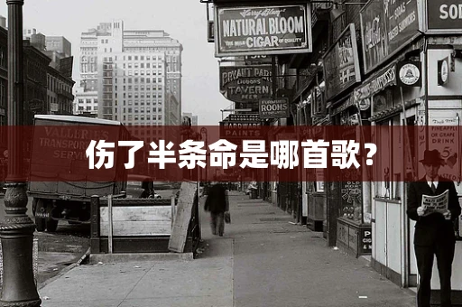 伤了半条命是哪首歌？