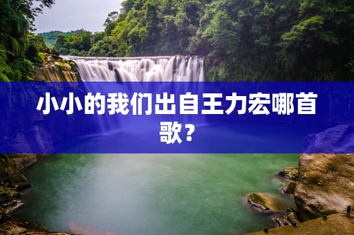 小小的我们出自王力宏哪首歌？