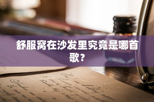 舒服窝在沙发里究竟是哪首歌？