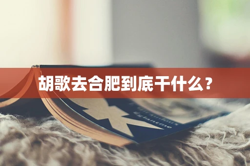 胡歌去合肥到底干什么？