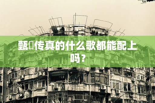 甄嬛传真的什么歌都能配上吗？
