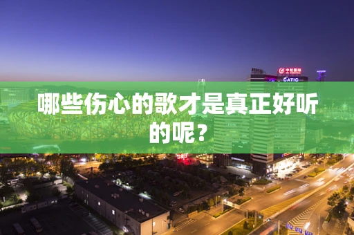 哪些伤心的歌才是真正好听的呢？
