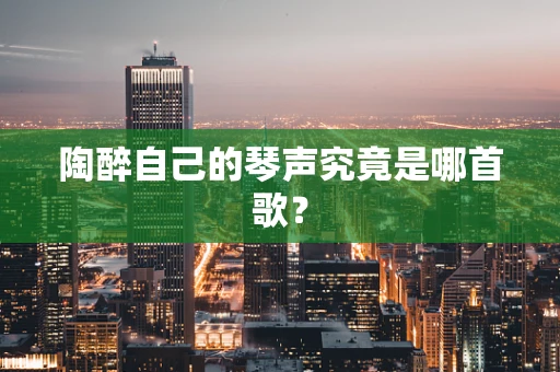 陶醉自己的琴声究竟是哪首歌？