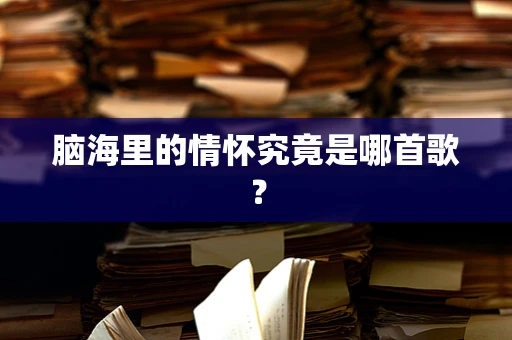 脑海里的情怀究竟是哪首歌？