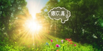 遮蔽的反义词出现在哪首歌里？