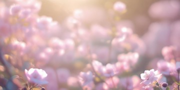 春风吹的花妩媚究竟是哪首歌？