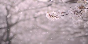 是否舍不得再沮丧出自哪首歌？