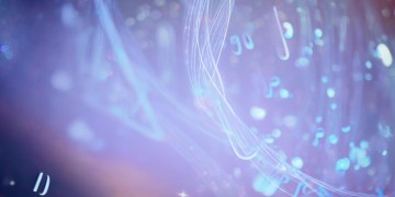 我难忘的在心上究竟是哪首歌？