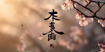 日语歌该如何选择？