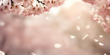 你说要走我会回来究竟是哪首歌？