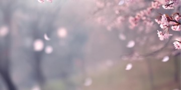 为所有爱执着的我出自哪首歌？