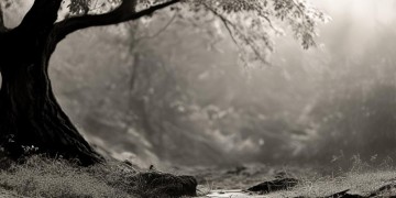 曾经的骨瘦如柴出自哪首歌？