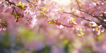 毕业季节到底唱什么歌好呢？