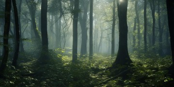 找不到方向的声音究竟是哪首歌？