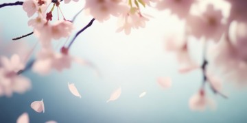 愿你能平安就好出自哪首歌？