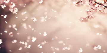 我曾经比谁都心软究竟是哪首歌？