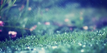 雨字和你字押韵吗？究竟是哪首歌？