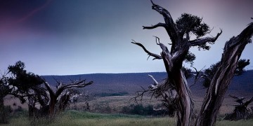 荒野大镖客的背景歌究竟是什么？