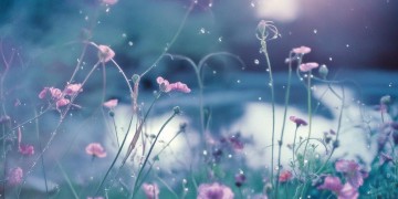 你就是我的女神出自哪首歌？