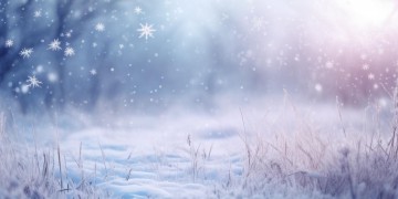 雪花这首歌到底表达了什么意思？