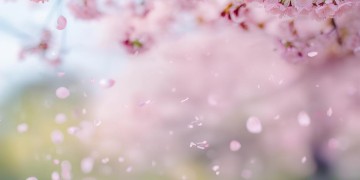 爱过你这句歌词出自薛之谦的哪首歌？