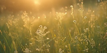 清晨暖心的回忆究竟是哪首歌？