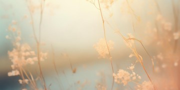 堕入空门是哪首歌？