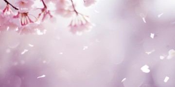 因为爱着不用流泪究竟是哪首歌？