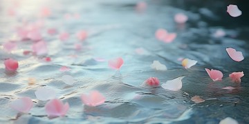 流水落花无情出自哪首歌？