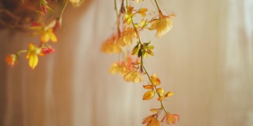 我们就此作罢出自哪首歌？