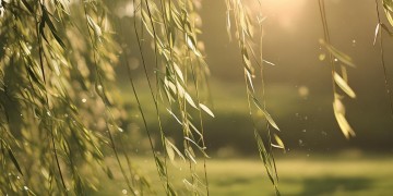 杨柳依轻摇嫁衣究竟是哪首歌?