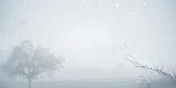 挥挥手莫回头究竟出自哪首歌？