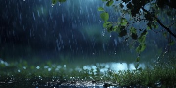 夜来风雨伴我唱究竟出自哪首歌？