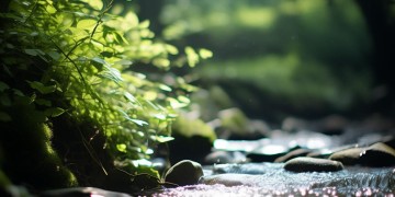 用喉咙唱歌的歌究竟是什么？