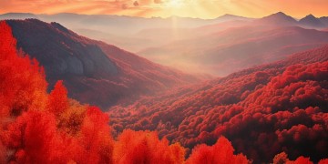 满山的红叶红似火出自哪首歌？