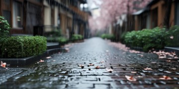 东京的雨巴黎的风究竟是哪首歌？