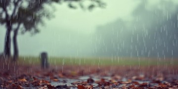 为何下雨冷风吹出自哪首歌？