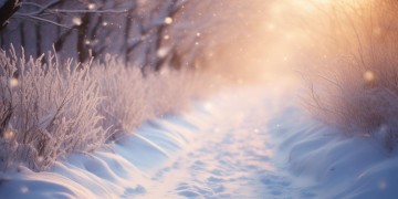 偶然与雪相遇究竟是哪首歌？