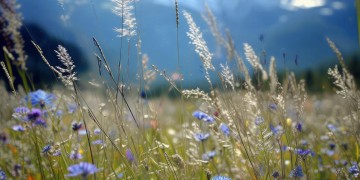 你是否还拥有信念出自哪首歌？